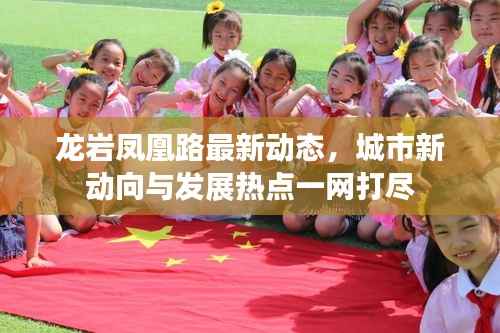 龙岩凤凰路最新动态,城市新动向与发展热点一网打尽