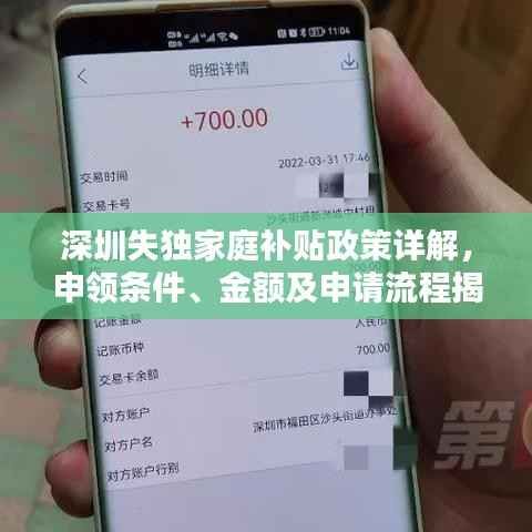 深圳失独家庭补贴政策详解,申领条件、金额及申请流程揭秘!