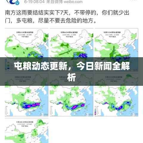 屯粮动态更新,今日新闻全解析