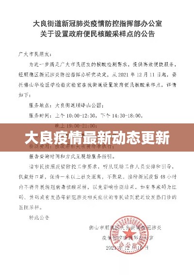 大良疫情最新动态更新