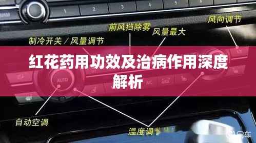 红花药用功效及治病作用深度解析