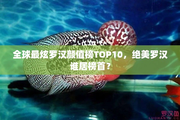 全球最炫罗汉颜值榜TOP10，绝美罗汉谁居榜首？
