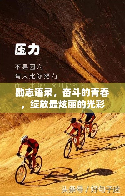 励志语录,奋斗的青春,绽放最炫丽的光彩