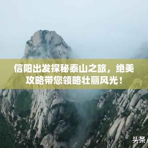 信阳出发探秘泰山之旅,绝美攻略带您领略壮丽风光!