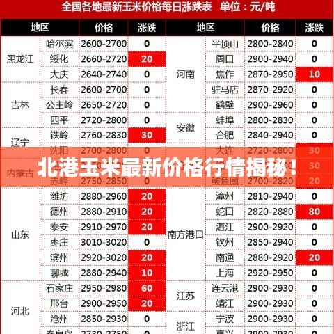 北港玉米最新价格行情揭秘!