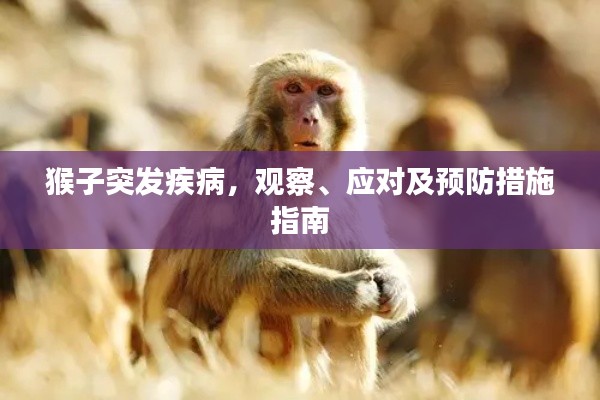 猴子突发疾病，观察、应对及预防措施指南