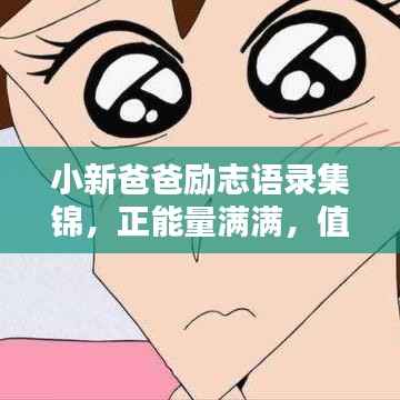 小新爸爸励志语录集锦,正能量满满,值得珍藏!