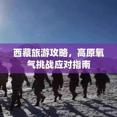 西藏旅游攻略，高原氧气挑战应对指南