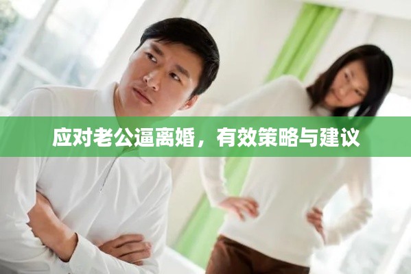 应对老公逼离婚,有效策略与建议