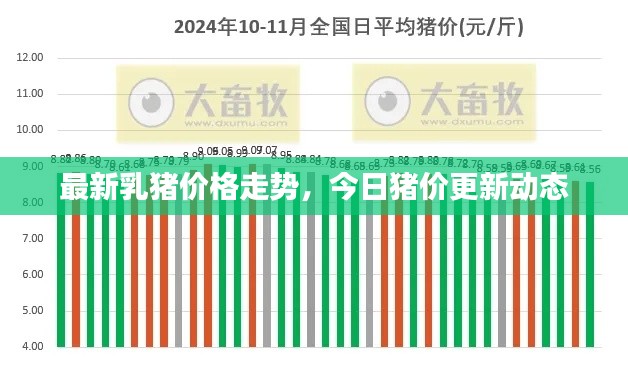 最新乳猪价格走势，今日猪价更新动态