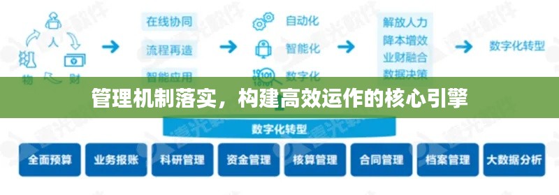 管理机制落实，构建高效运作的核心引擎