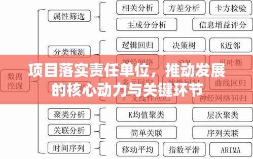 项目落实责任单位,推动发展的核心动力与关键环节