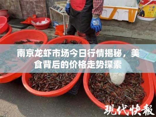南京龙虾市场今日行情揭秘，美食背后的价格走势探索