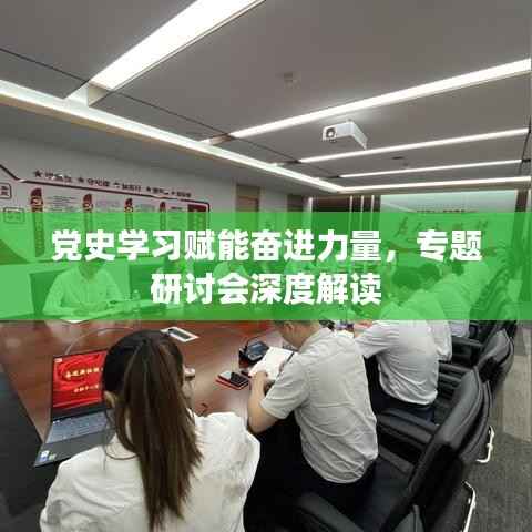 党史学习赋能奋进力量，专题研讨会深度解读