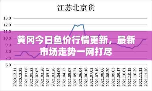 黄冈今日鱼价行情更新,最新市场走势一网打尽