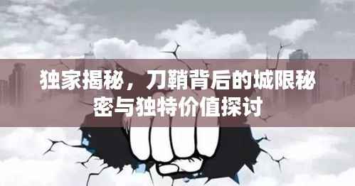 独家揭秘,刀鞘背后的城限秘密与独特价值探讨