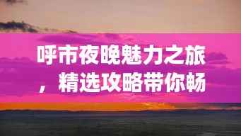呼市夜晚魅力之旅,精选攻略带你畅游草原夜色