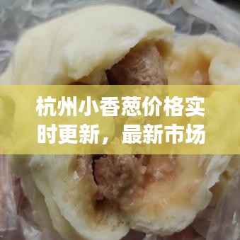 杭州小香葱价格实时更新,最新市场动态揭秘