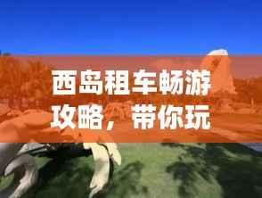 西岛租车畅游攻略,带你玩转海岛之旅!