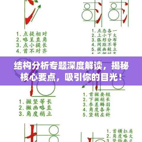 结构分析专题深度解读,揭秘核心要点,吸引你的目光!