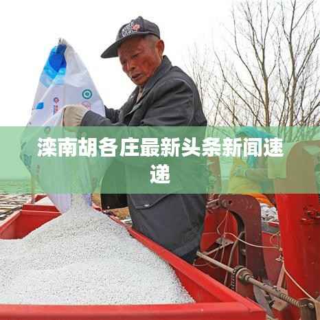 滦南胡各庄最新头条新闻速递