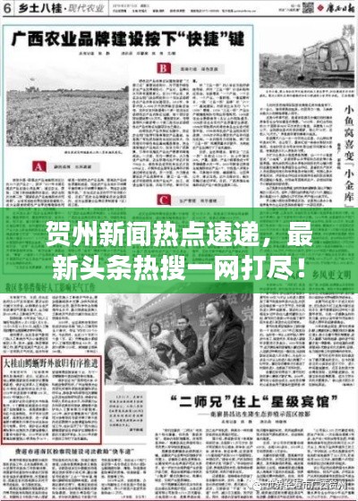 贺州新闻热点速递，最新头条热搜一网打尽！
