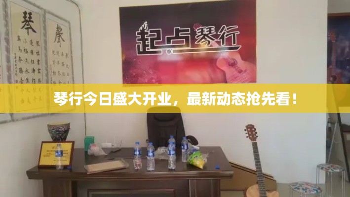 琴行今日盛大开业，最新动态抢先看！