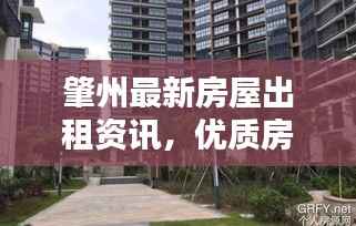 肇州最新房屋出租资讯,优质房源一览无余