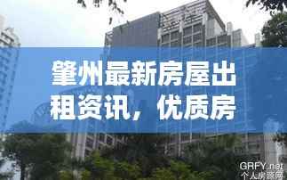 肇州最新房屋出租资讯,优质房源一览无余