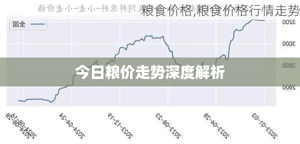 今日粮价走势深度解析
