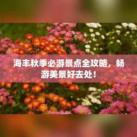 海丰秋季必游景点全攻略，畅游美景好去处！