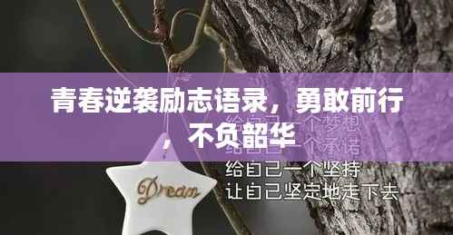 青春逆袭励志语录，勇敢前行，不负韶华