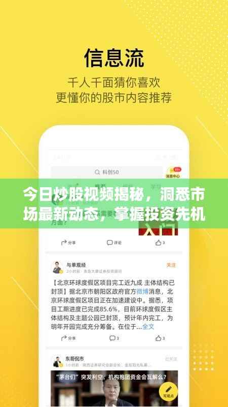 今日炒股视频揭秘,洞悉市场最新动态,掌握投资先机