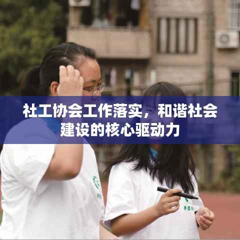 社工协会工作落实,和谐社会建设的核心驱动力