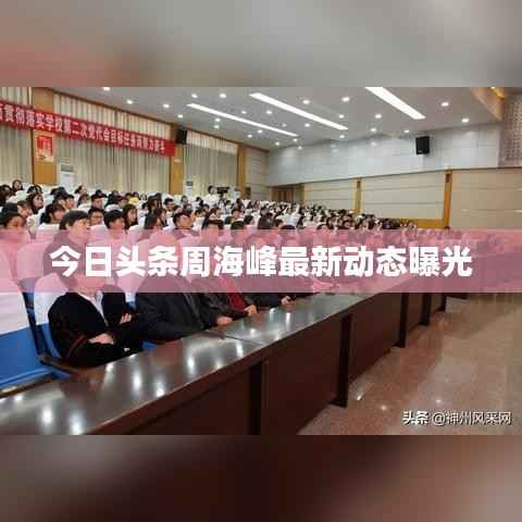 今日头条周海峰最新动态曝光