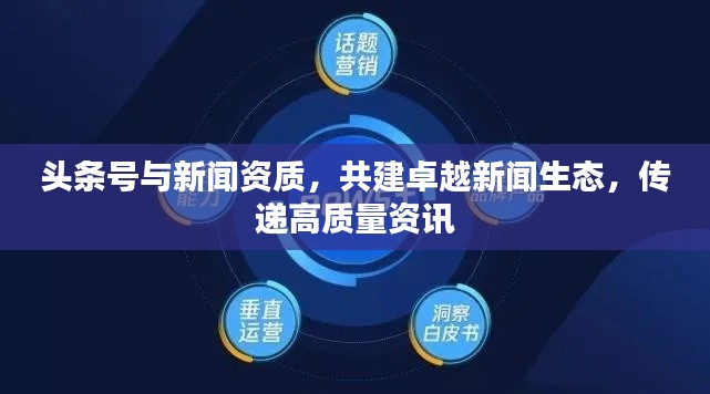 头条号与新闻资质,共建卓越新闻生态,传递高质量资讯